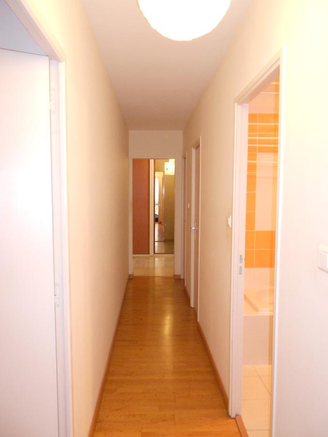 Grand Appartement Central Avec Terrasse 蒙彼利埃 外观 照片